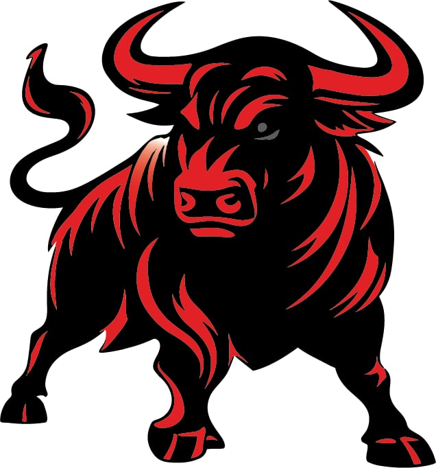 Bulls